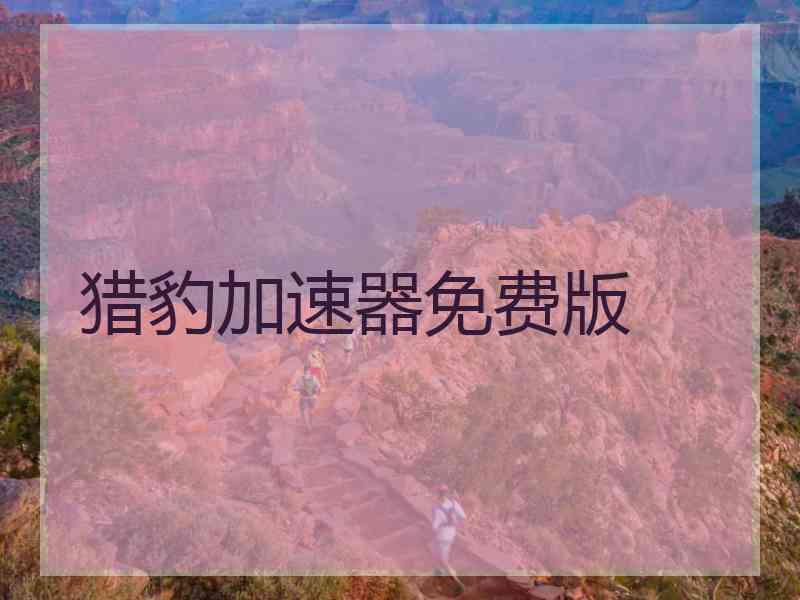 猎豹加速器免费版