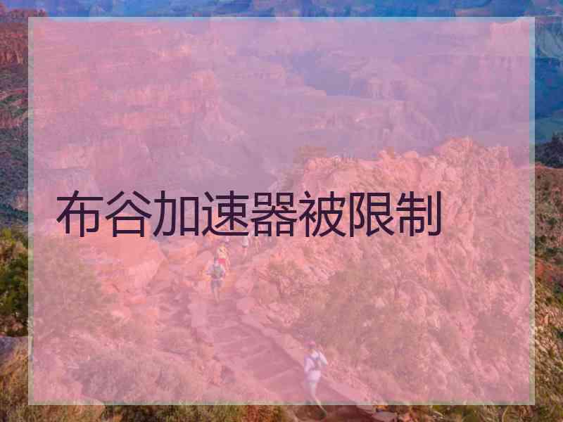 布谷加速器被限制