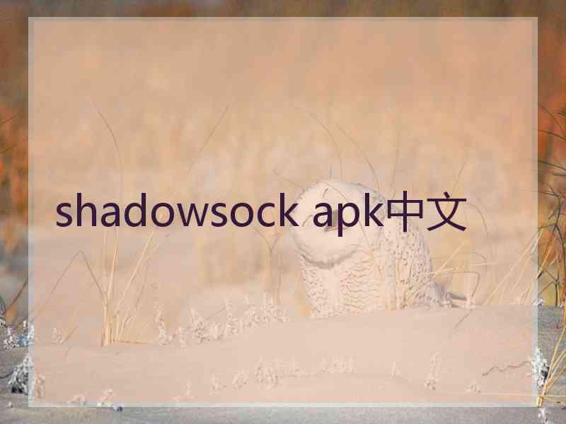 shadowsock apk中文