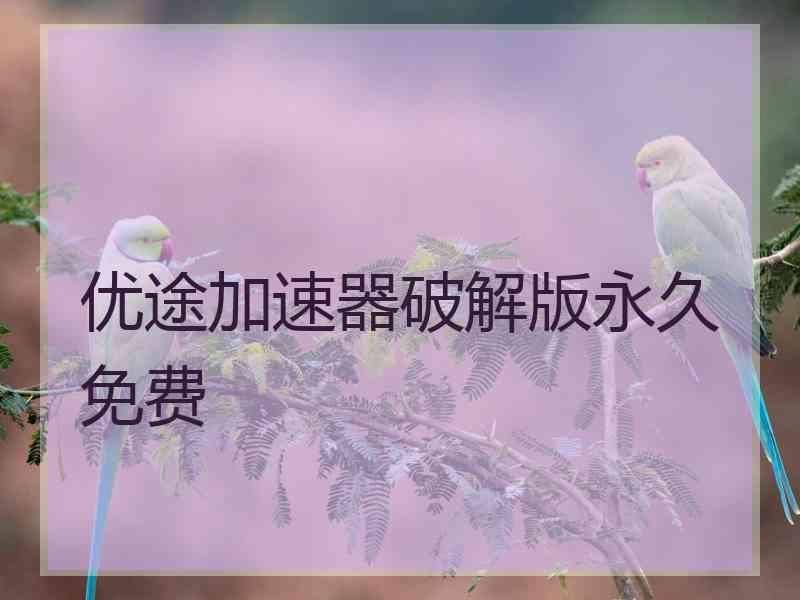 优途加速器破解版永久免费