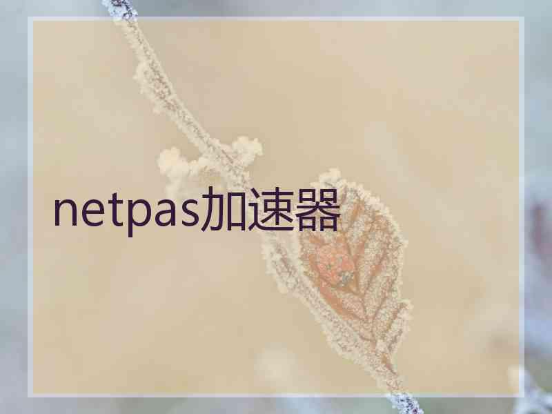 netpas加速器