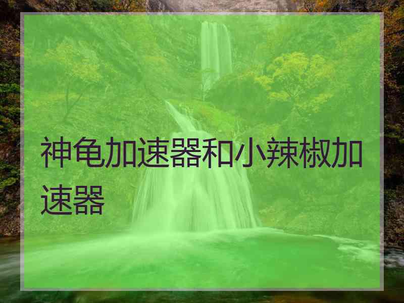 神龟加速器和小辣椒加速器