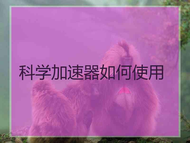 科学加速器如何使用