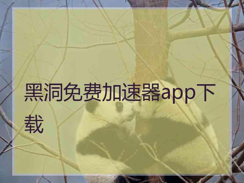 黑洞免费加速器app下载