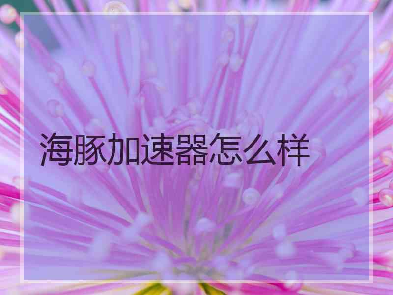 海豚加速器怎么样