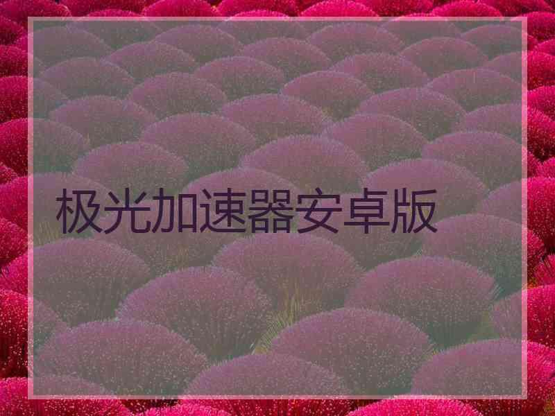 极光加速器安卓版