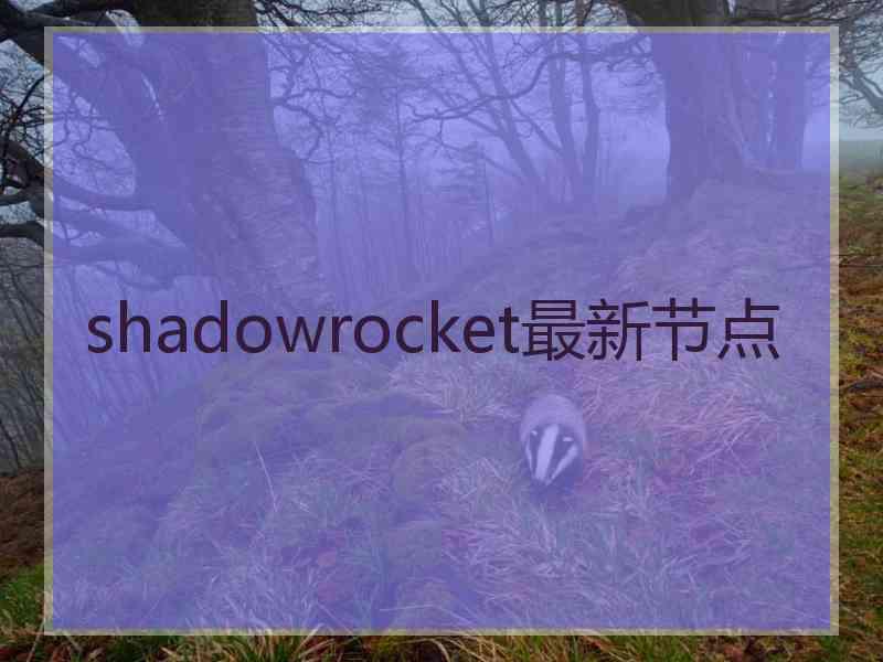 shadowrocket最新节点