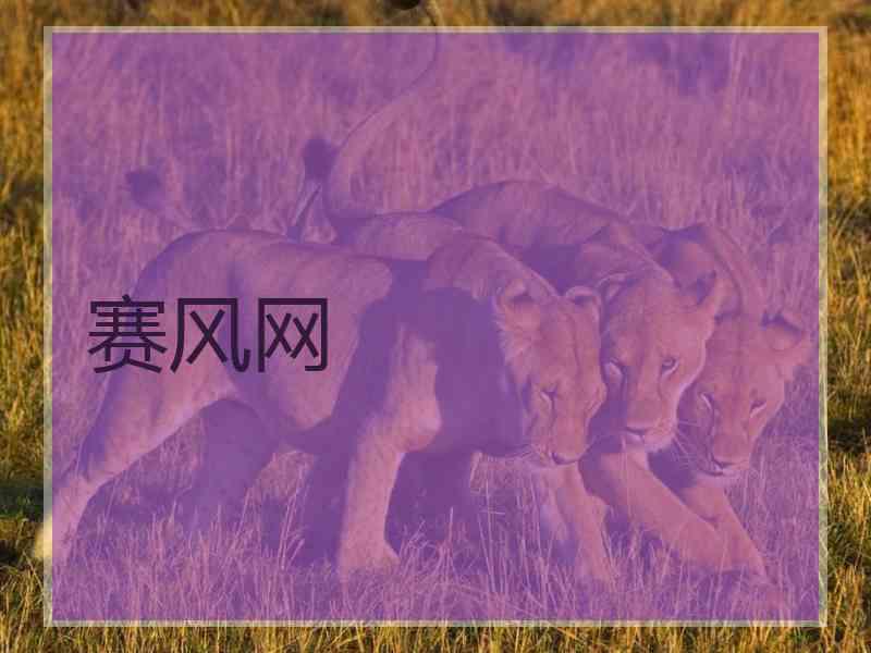 赛风网