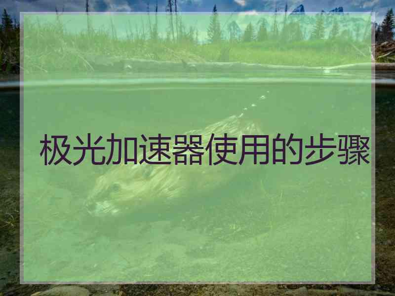 极光加速器使用的步骤