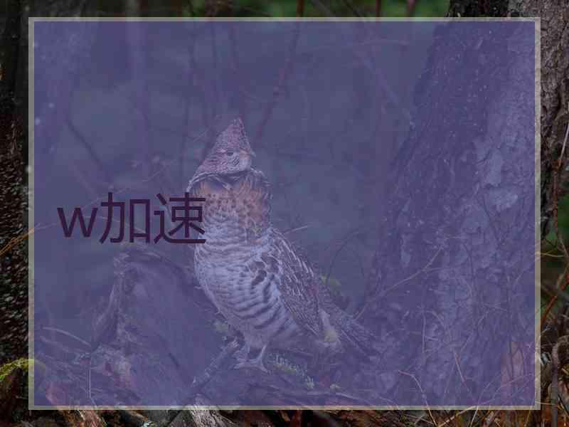 w加速