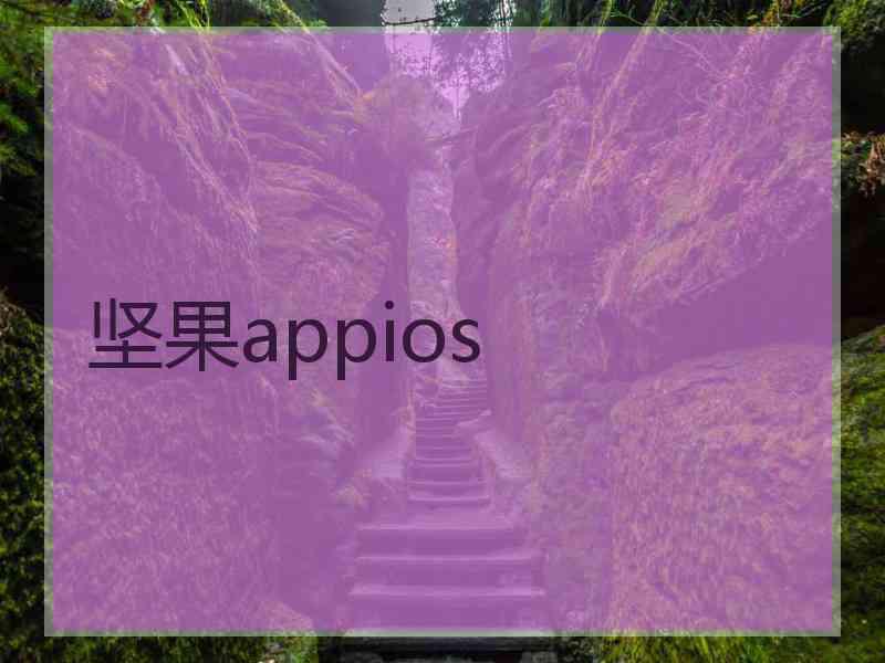 坚果appios