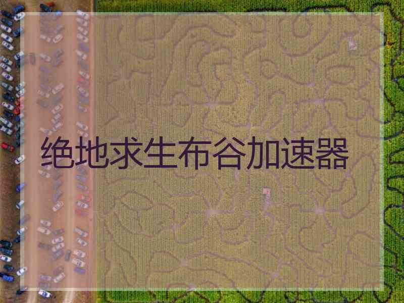 绝地求生布谷加速器