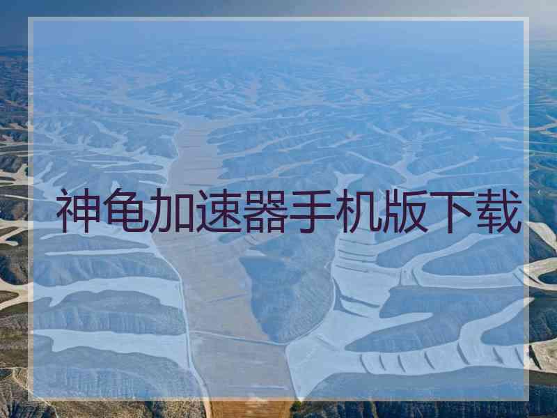 神龟加速器手机版下载