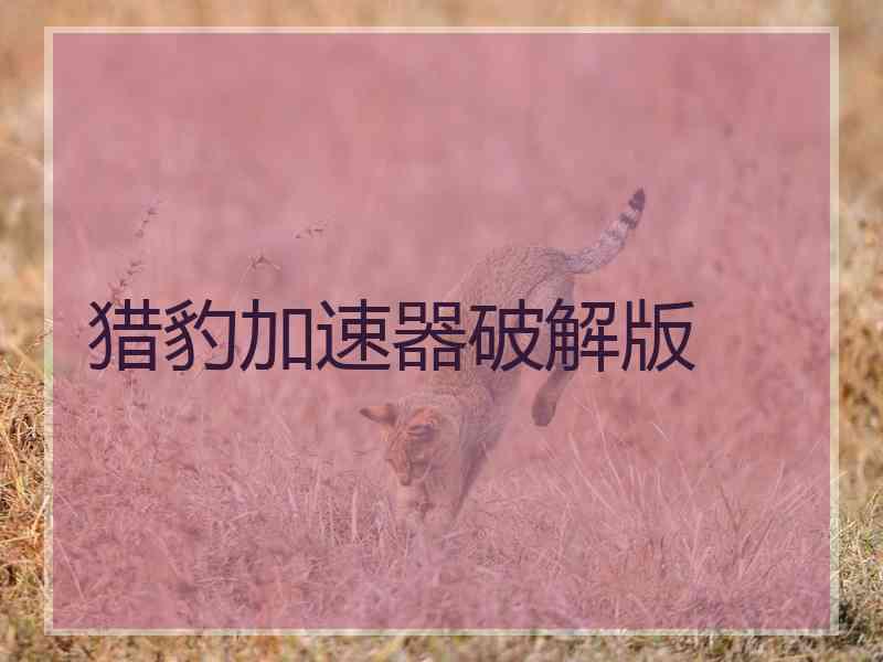 猎豹加速器破解版