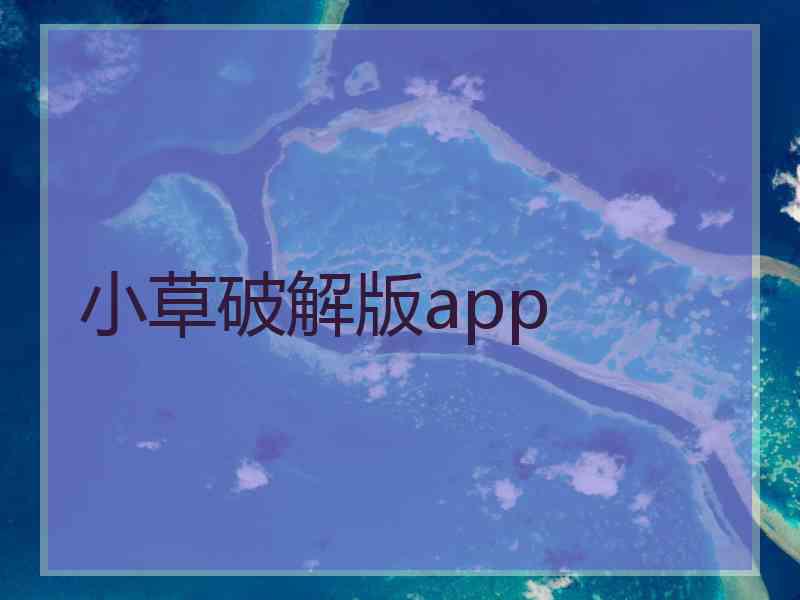 小草破解版app
