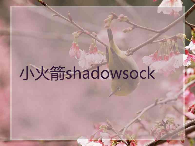 小火箭shadowsock