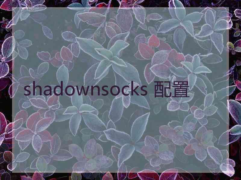 shadownsocks 配置