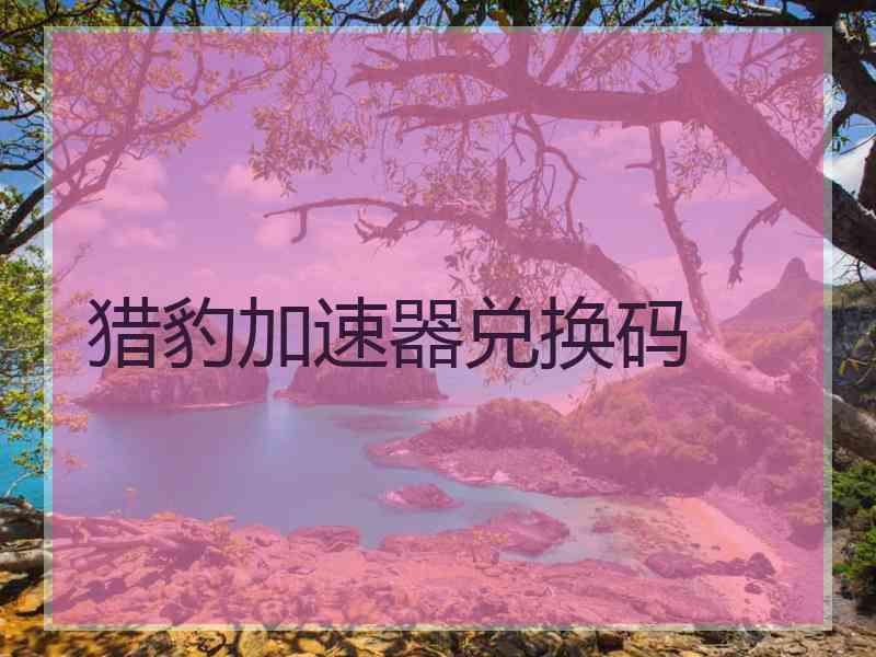 猎豹加速器兑换码