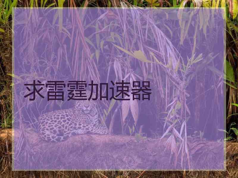 求雷霆加速器