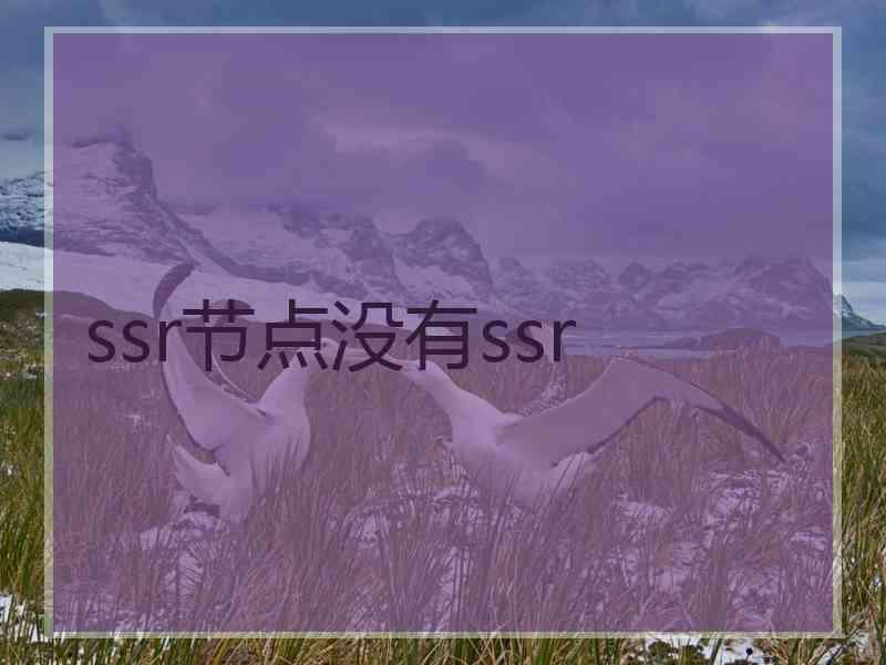 ssr节点没有ssr