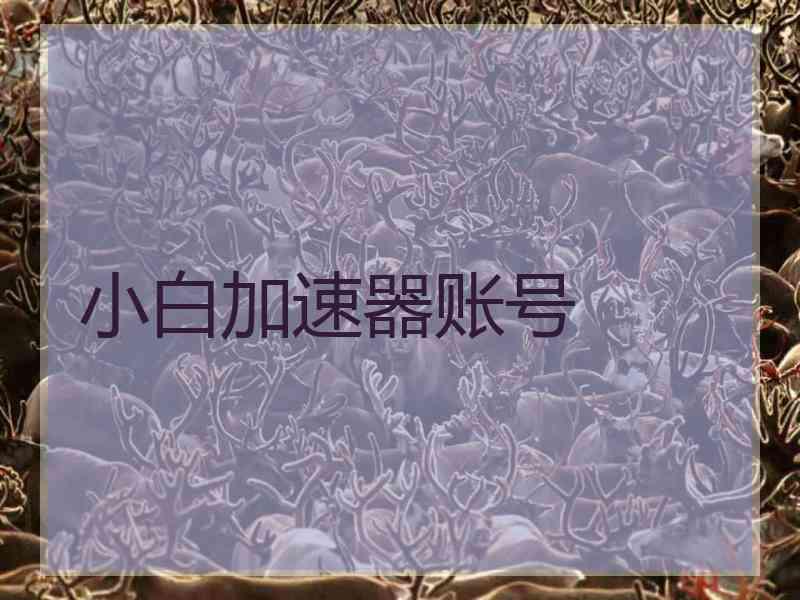小白加速器账号