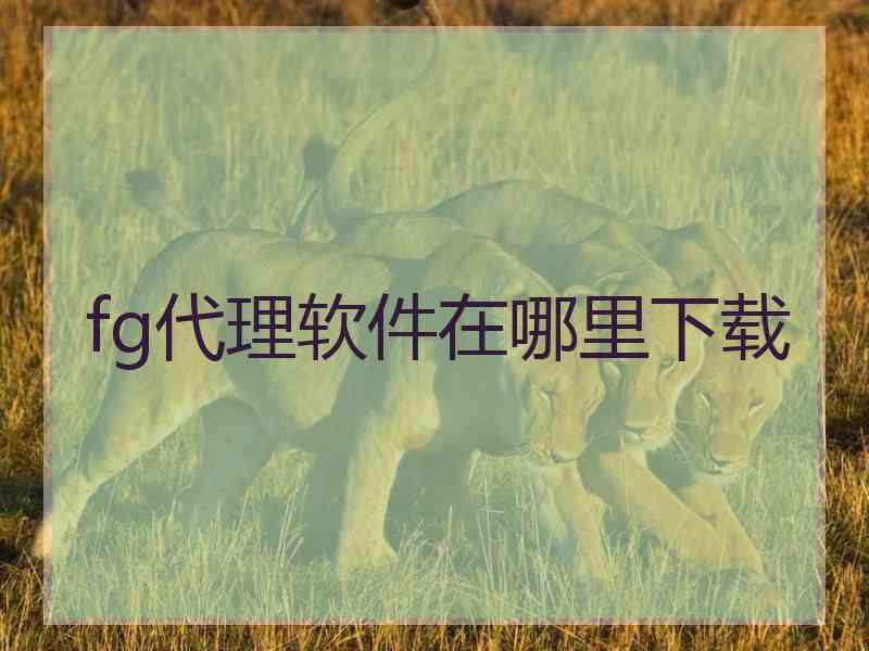fg代理软件在哪里下载