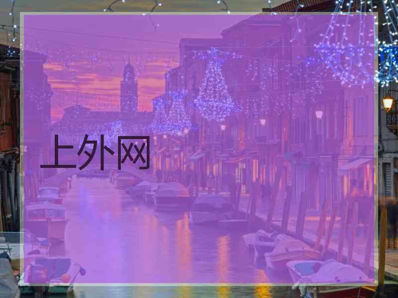上外网