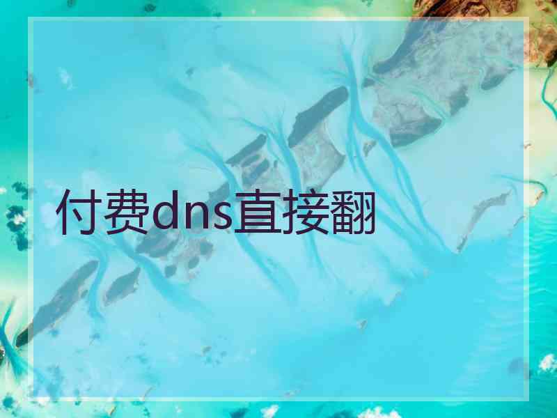付费dns直接翻