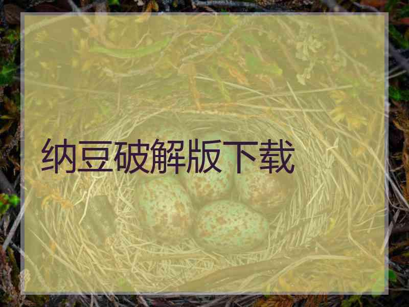 纳豆破解版下载
