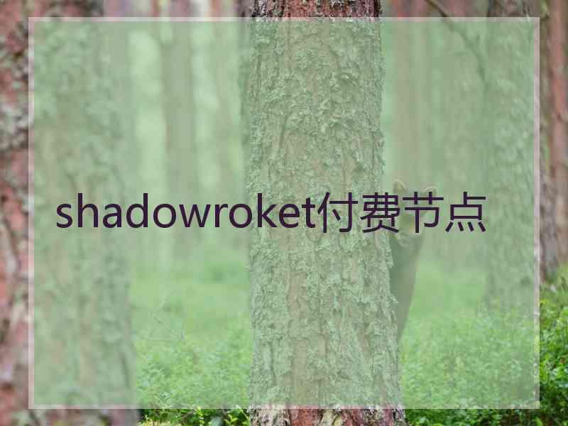 shadowroket付费节点