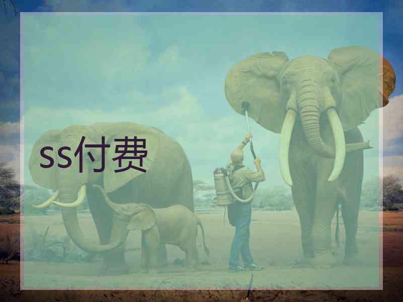 ss付费