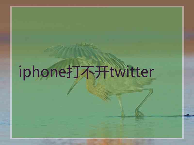 iphone打不开twitter