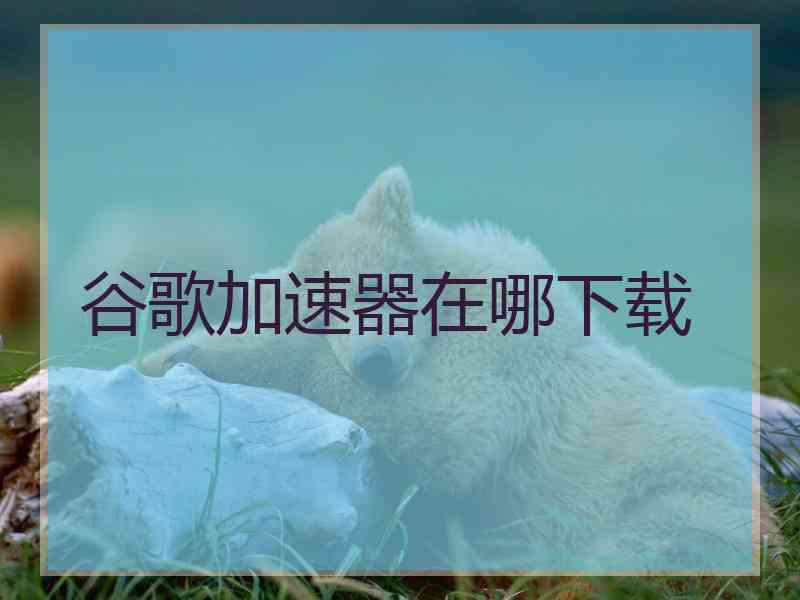 谷歌加速器在哪下载