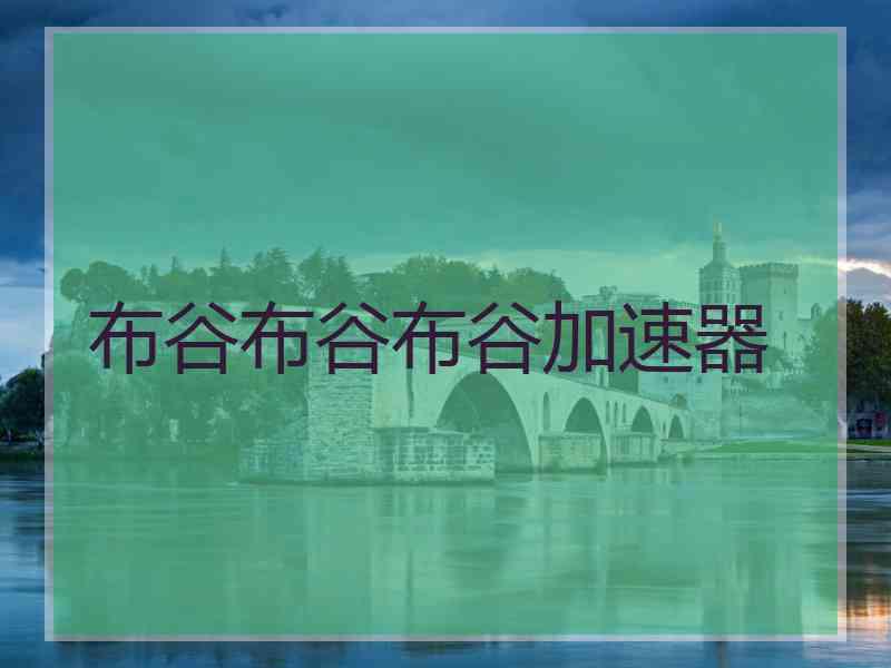 布谷布谷布谷加速器