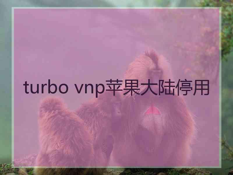 turbo vnp苹果大陆停用