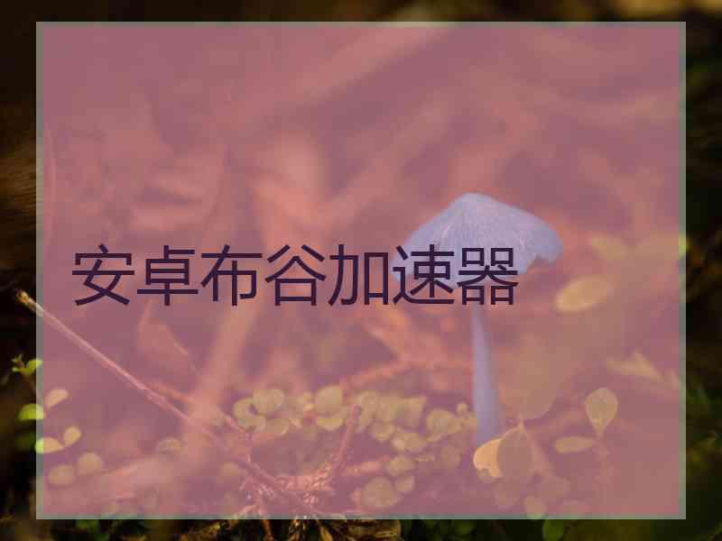 安卓布谷加速器