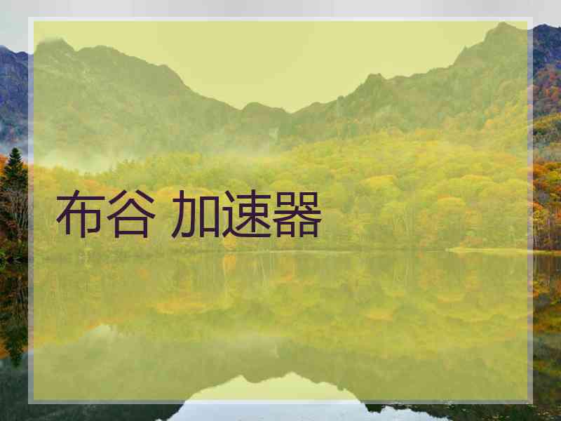 布谷 加速器