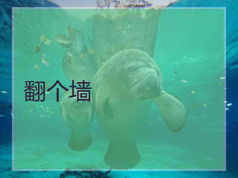 翻个墙