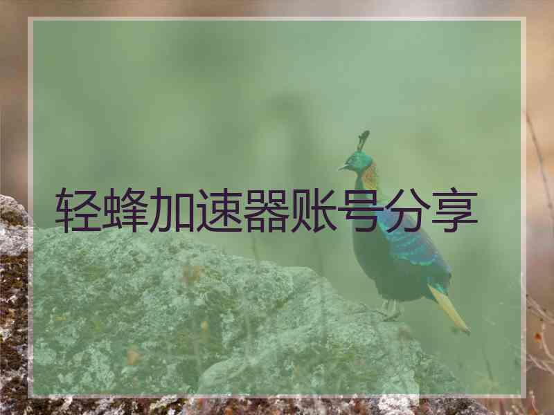 轻蜂加速器账号分享