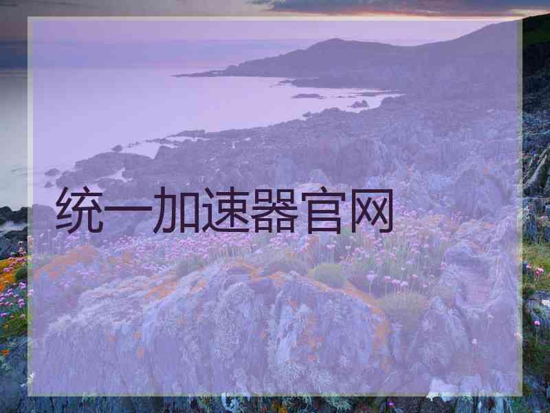 统一加速器官网
