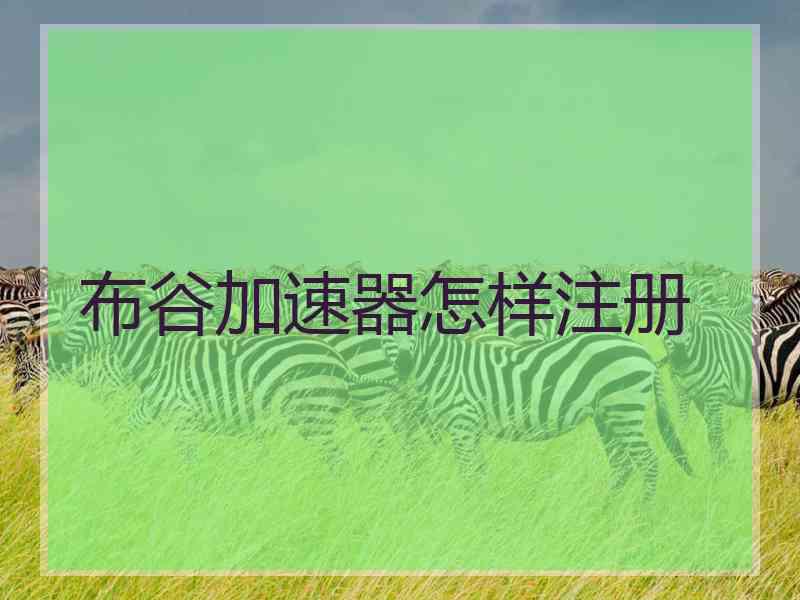 布谷加速器怎样注册