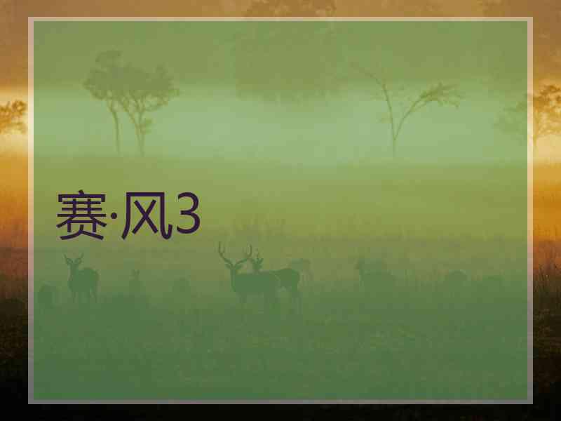 赛·风3