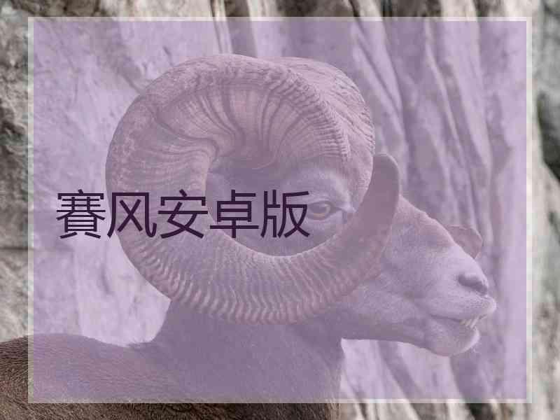 賽风安卓版
