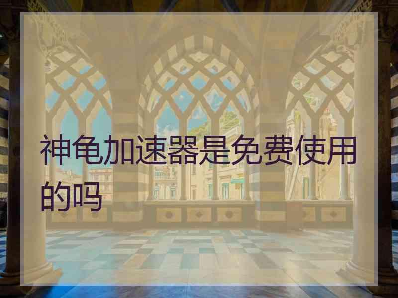 神龟加速器是免费使用的吗