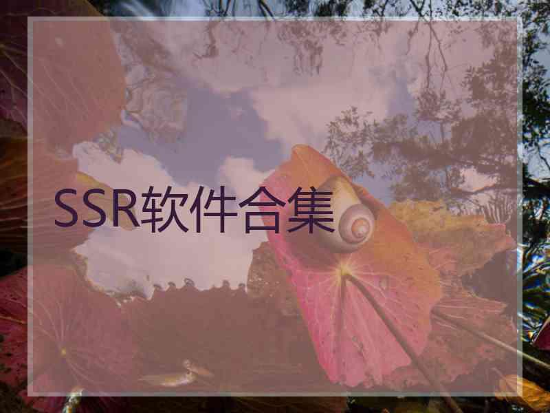 SSR软件合集