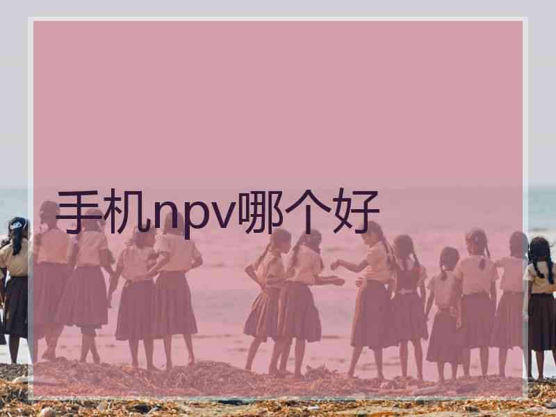 手机npv哪个好