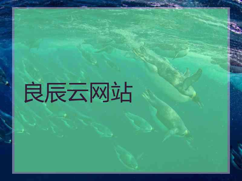 良辰云网站