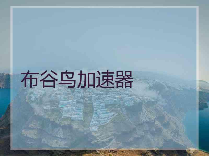 布谷鸟加速器