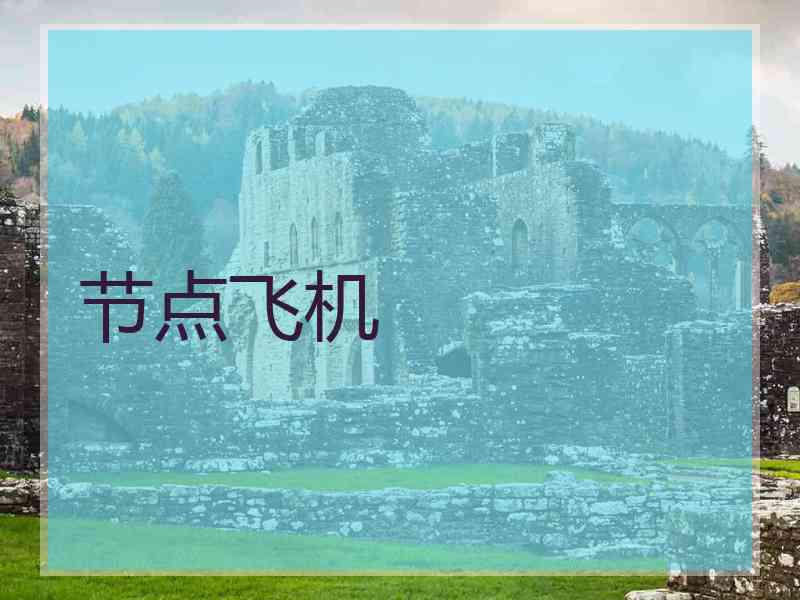 节点飞机