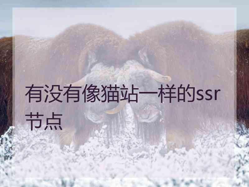 有没有像猫站一样的ssr节点
